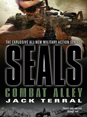 cover image of Combat Alley